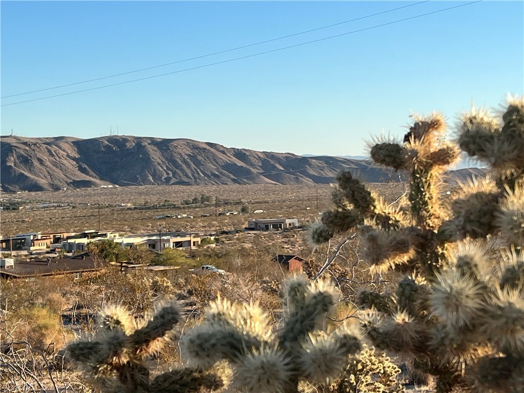 MLS #JT25250463 image #2