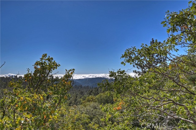 Detail Gallery Image 29 of 49 For 33000 Juniper Ln, Green Valley Lake,  CA 92341 - 4 Beds | 2/1 Baths