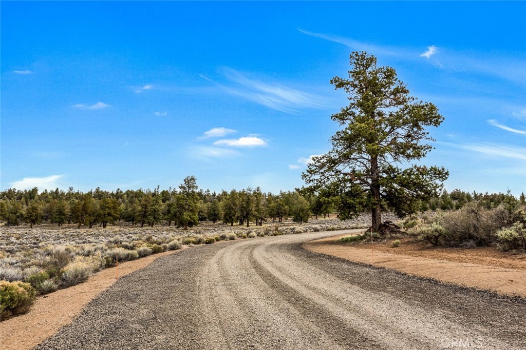 https://media.crmls.org/medias/091f8428-1f22-4364-8f86-37c852c6779e.jpg?preset=X-Large