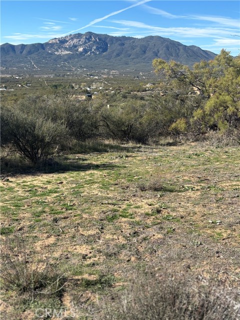 54648 Glasgow Road, Anza CA: https://media.crmls.org/medias/091fcac3-cc41-4769-a8f5-c726526007f8.jpg