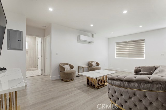 6206 Camellia photo 21