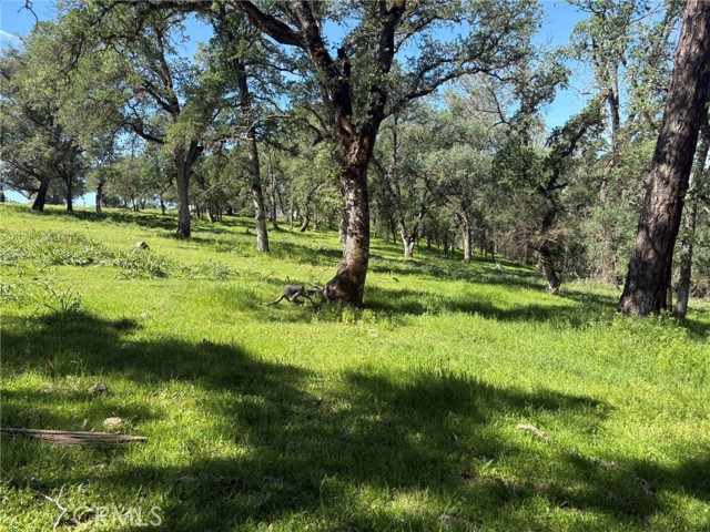 Detail Gallery Image 21 of 26 For 3465 Foothill Bld, Oroville,  CA 95966 - – Beds | – Baths