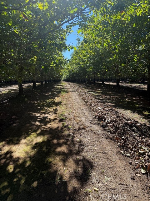 Detail Gallery Image 18 of 19 For 0 Rawson Road, Gerber,  CA 96035 - – Beds | – Baths