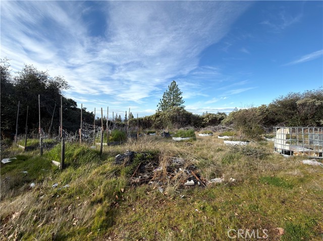 0 Top View Court, Oroville CA: https://media.crmls.org/medias/0924f4f5-7be5-4c30-a93d-09ad6211328d.jpg