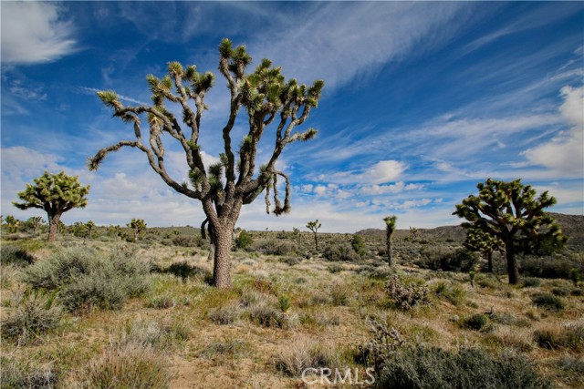 Detail Gallery Image 5 of 33 For 27 Vista Rd, Pioneertown,  CA 92356 - – Beds | – Baths