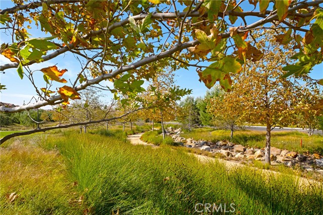 Detail Gallery Image 44 of 46 For 86 Mayfair, Irvine,  CA 92620 - 2 Beds | 2 Baths