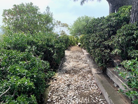 Many paths terraced on this lot