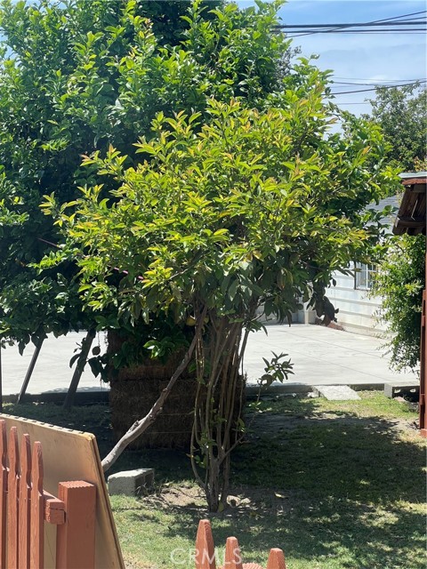 2085 Fashion Avenue, Long Beach CA: https://media.crmls.org/medias/093dc138-864e-40d7-8bbf-2ad0e5e0fc58.jpg