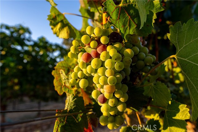 Detail Gallery Image 26 of 49 For 2143 Buena Vista Ave, Gilroy,  CA 95020 - 0 Beds | 1 Baths