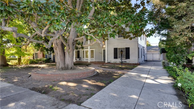 Front Image Thumbnail for CROC25271685