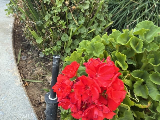 Detail Gallery Image 14 of 27 For 20930 Parthenia St #216,  Canoga Park,  CA 91304 - 1 Beds | 1 Baths