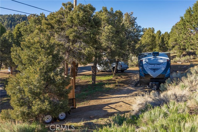 Detail Gallery Image 9 of 41 For 1841 Golden Rod Ave, Big Bear City,  CA 92314 - 4 Beds | 2/1 Baths