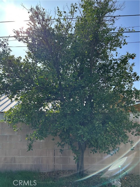 Detail Gallery Image 11 of 23 For 12410 Jerome, Sun Valley,  CA 91352 - 3 Beds | 2 Baths