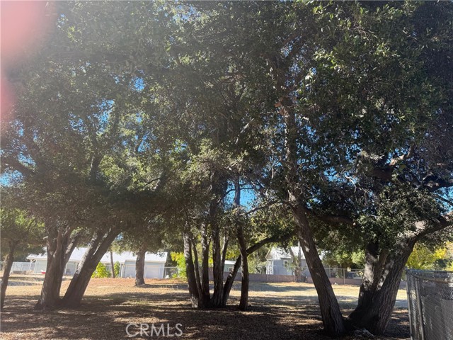 Detail Gallery Image 23 of 30 For 15313 Spunky Canyon Rd, Green Valley,  CA 91390 - 2 Beds | 2 Baths