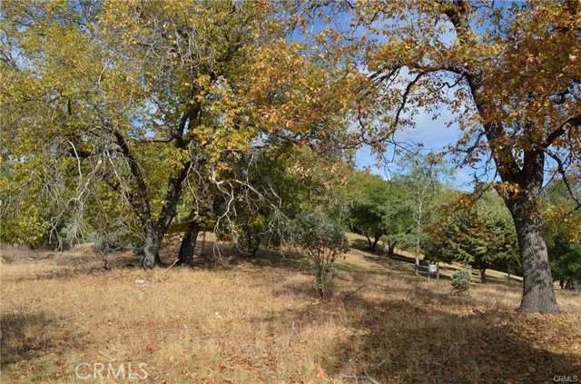 Detail Gallery Image 18 of 41 For 2 .68ac Sneezeweed Ln, North Fork,  CA 93643 - – Beds | – Baths