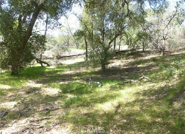 Detail Gallery Image 26 of 37 For 0 0 Vineyard Canyon Parcel 29, San Miguel,  CA 93451 - – Beds | – Baths