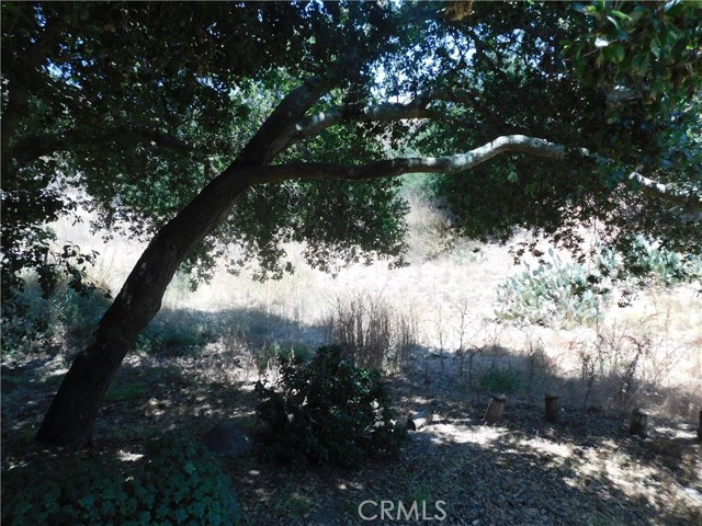 Detail Gallery Image 2 of 7 For 19272 Lambrose Canyon, Trabuco Canyon,  CA 92679 - – Beds | – Baths