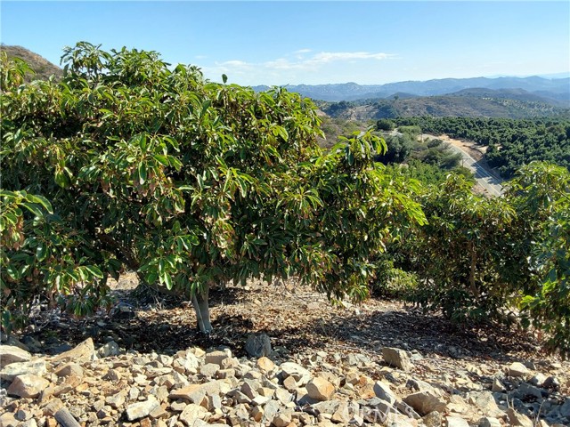 Detail Gallery Image 19 of 38 For 3 via Vaquero, Temecula,  CA 92590 - – Beds | – Baths