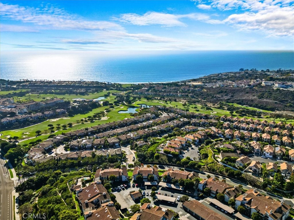 Discover resort life in this Exquisite Coastal Marvel - Single Level Residence in the sought-after 24 hour guard gated Ritz Pointe Community.  Short distance to Salt Creek Beach, the Ritz Carlton, and the Waldorf Astoria Resorts Enjoy access to hiking and biking trails, top-notch restaurants, and shopping.  The residence features a custom remodeled kitchen with quartz counter tops and stainless steel sink, wood design plank tile flooring throughout, recessed lighting, remodeled bathroom, cozy fireplace in the living room, a separate dining area, a master bedroom with a walk-in closet, covered patio to enjoy your coffee watching the nature, rain or shine, and a dedicated utility room with storage shelves, off of patio that includes washer and dryer hookup. There is also an extra storage area via a secured storage unit on the front porch. The resort-like community offers a pool, three spas, a gym, and a clubhouse.  Sit and day-dream on the porch of this Monarch Hills Condo, Enjoy the tranquility and security of this renowned vacation destination. Immerse yourself in resort-style living with easy access to upscale resorts, dining, coffee shops, tennis, and the Monarch Beach Golf Links. Let the calming embrace of ocean breeze caress your senses, revitalizing your soul. Wake up to the paradise of coastal living.  Short-term rental is permitted.  Ample guest parking available. Don't let this exceptional opportunity of  the coastal lifestyle you've always envisioned slip away!