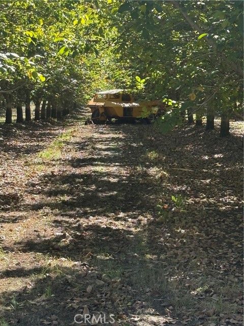 Detail Gallery Image 14 of 19 For 0 Rawson Road, Gerber,  CA 96035 - – Beds | – Baths