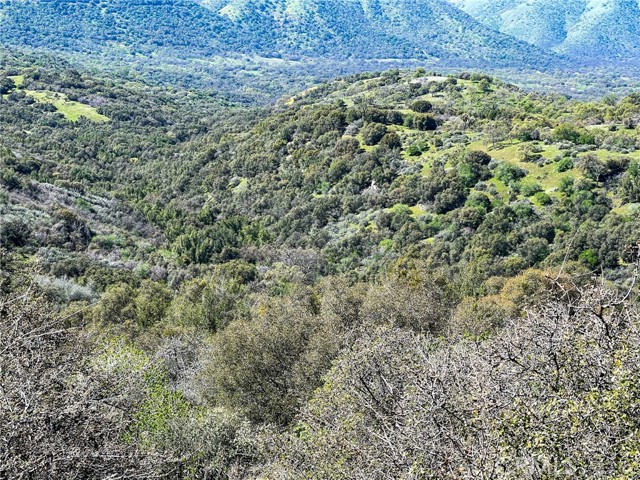 Detail Gallery Image 23 of 74 For 44981 Todd Eymann Rd, Miramonte,  CA 93641 - 1 Beds | 1 Baths