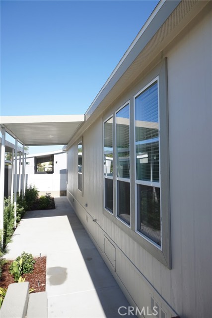 Side Yard