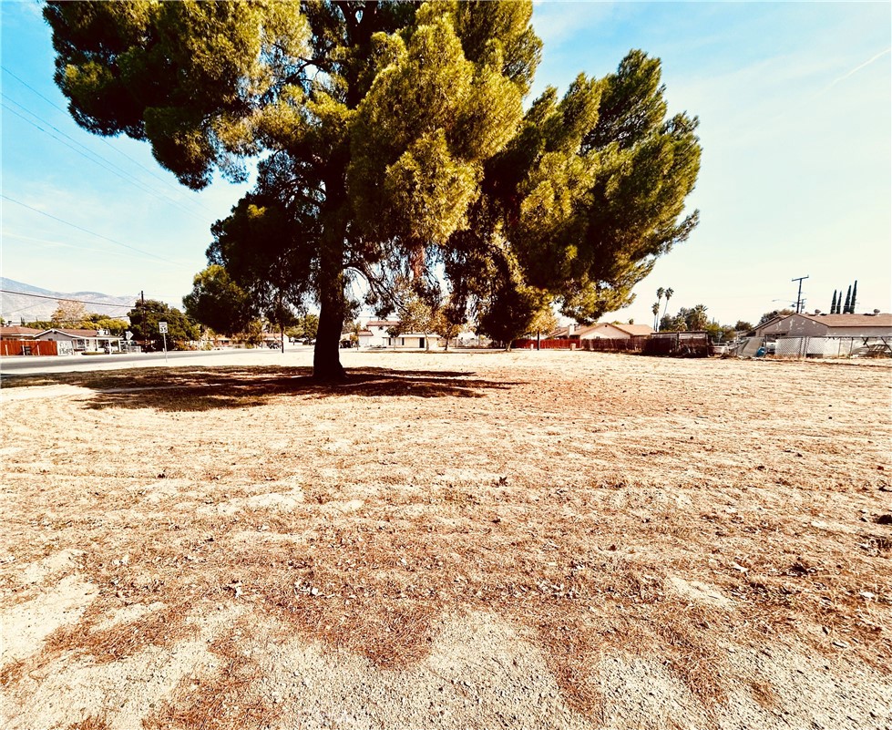 MLS #SW25256203 image #6