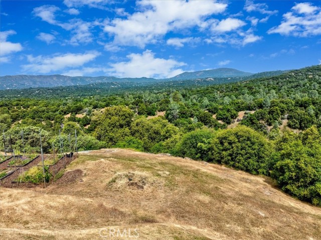 Detail Gallery Image 43 of 47 For 47527 Miami Highlands Dr, Oakhurst,  CA 93644 - 4 Beds | 2/1 Baths
