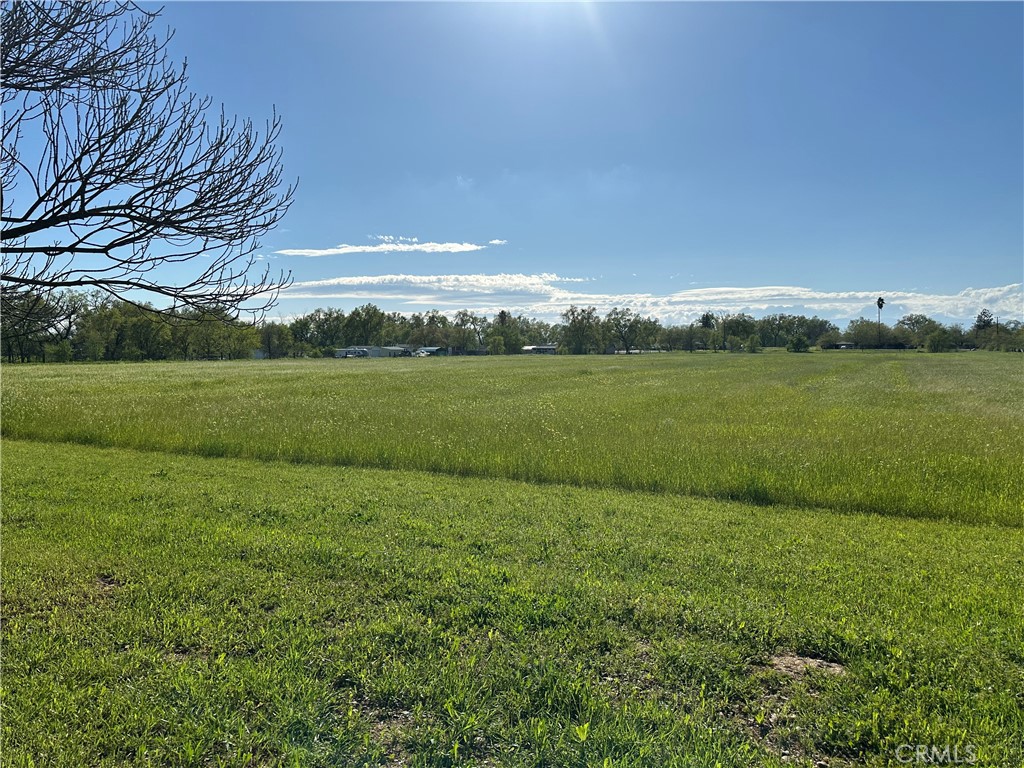 09829B13 8D9A 43Fd 90C8 E8D9775390Eb 23271 Olive Avenue, Gerber, Ca 96035 &Lt;Span Style='BackgroundColor:transparent;Padding:0Px;'&Gt; &Lt;Small&Gt; &Lt;I&Gt; &Lt;/I&Gt; &Lt;/Small&Gt;&Lt;/Span&Gt;