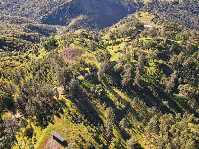 Image 25 of 36 For 3029 Freshwater