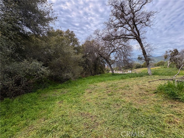 Detail Gallery Image 36 of 38 For 39313 Squaw Valley, Squaw Valley,  CA 93675 - 3 Beds | 2 Baths