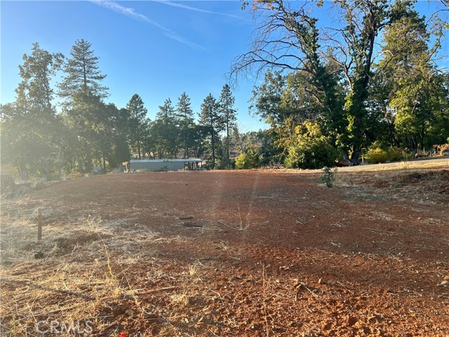 450 Stacy Lane, Paradise, California 95969, ,Land,For Sale,450 Stacy Lane,CRSN23182545