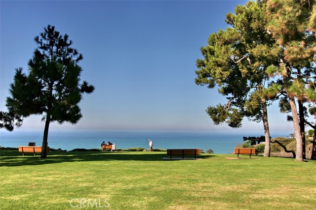 34110 Selva Road, Dana Point CA: https://media.crmls.org/medias/0994eda8-95ff-42b5-882d-14ec03bbf776.jpg
