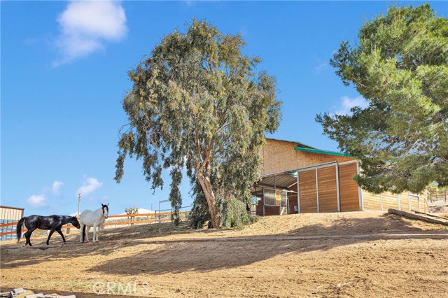 25733 Roundup Way, Apple Valley CA: https://media.crmls.org/medias/0999da48-0a9e-46d4-8434-8f8e8eddcbc9.jpg