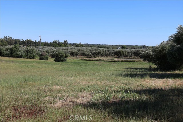 Detail Gallery Image 13 of 32 For 0 Carona Ave., Corning,  CA 96021 - – Beds | – Baths