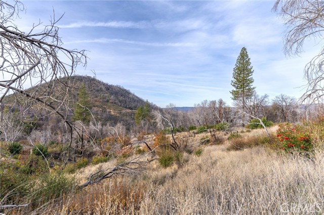 2261 Lumpkin Road, Oroville, California 95966, ,Land,For Sale,2261 Lumpkin Road,CRSN23227177