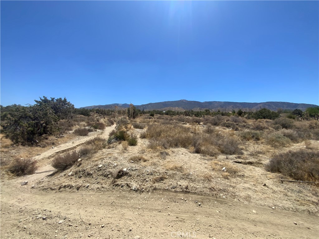 MLS #IV25154563 image #4