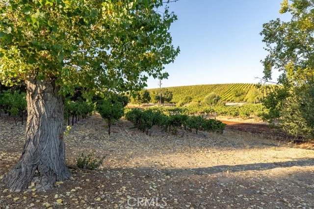 Detail Gallery Image 36 of 65 For 2925 Anderson Rd, Paso Robles,  CA 93446 - 3 Beds | 3/1 Baths