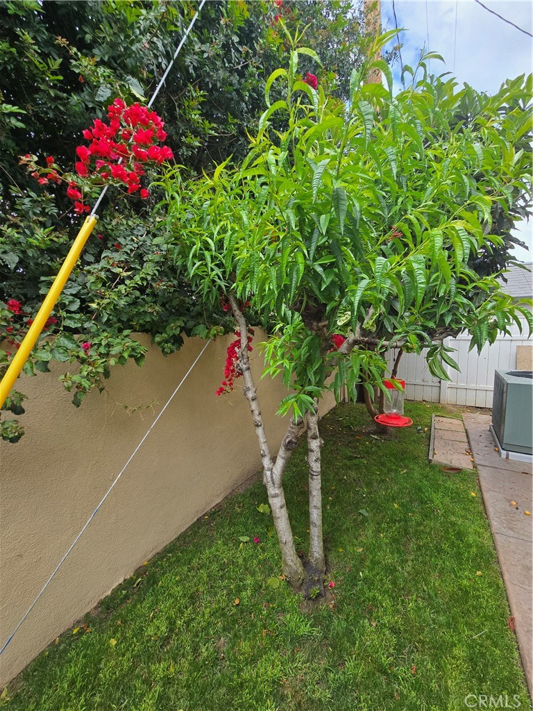 https://media.crmls.org/medias/09c0ccb9-0741-49e9-8714-cc126a4b2fd1.jpg?preset=X-Large