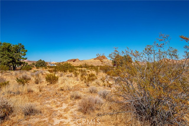  Land for Sale in Rosamond, California
