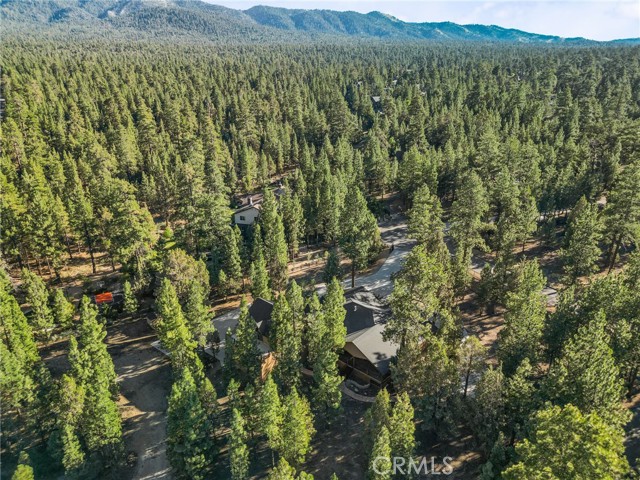 1540 Alderwood Court, Big Bear City CA: https://media.crmls.org/medias/09c6a0f7-4028-4071-9021-2d7f0c4c958f.jpg