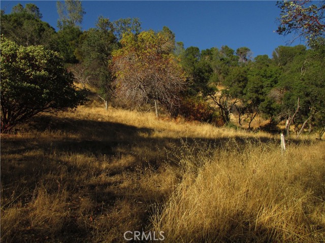 Detail Gallery Image 4 of 54 For 2 Ac Old Oaks Ct, North Fork,  CA 93643 - – Beds | – Baths
