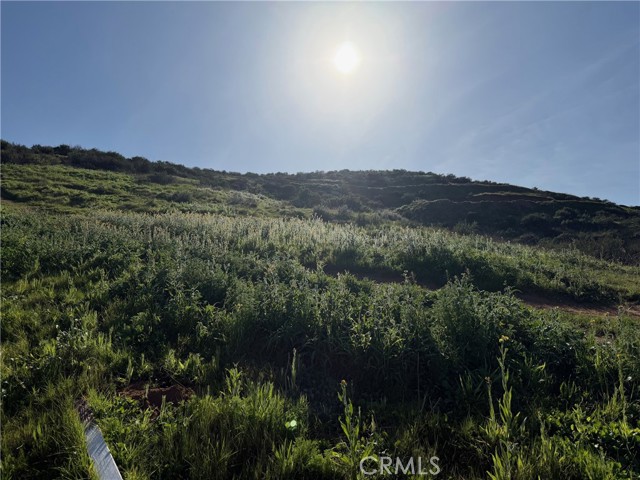 Front Image Thumbnail for CRIV26022704