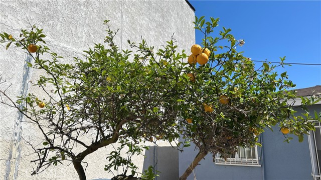Detail Gallery Image 33 of 33 For 4015 W 147th St, Lawndale,  CA 90260 - – Beds | – Baths