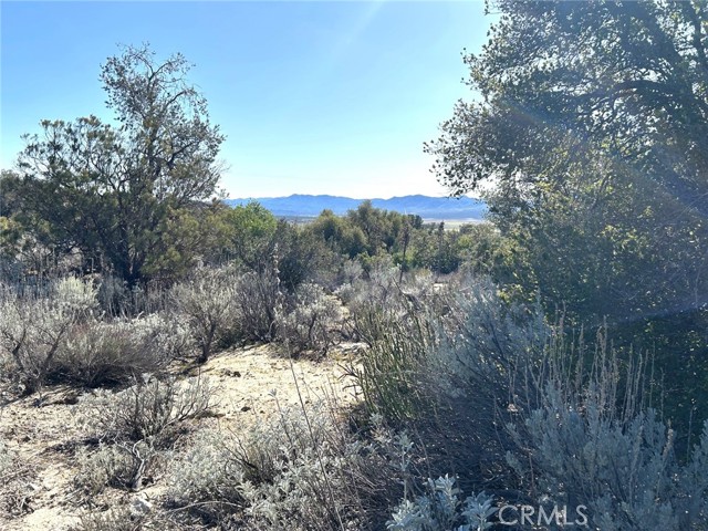 Detail Gallery Image 2 of 29 For 0 Oak Rd, Anza,  CA 92539 - – Beds | – Baths