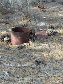 Detail Gallery Image 8 of 15 For 34557 Polique Canyon, Fawnskin,  CA 92333 - – Beds | – Baths