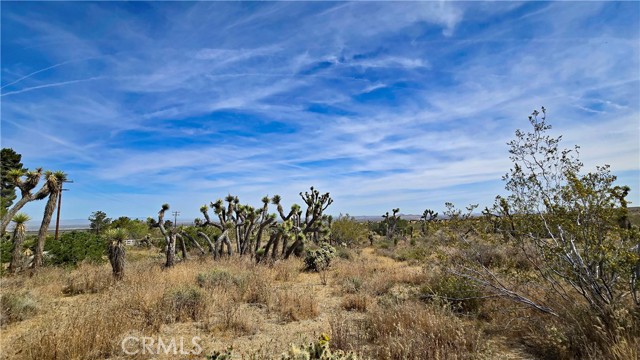 Detail Gallery Image 41 of 49 For 0 103rd St East Vicinity W14, –,  CA 93543 - – Beds | – Baths