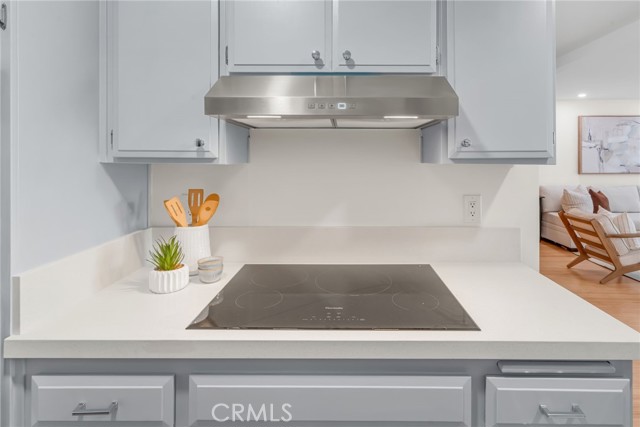 Cooktop/ Fan Hood