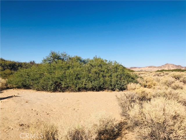 Detail Gallery Image 7 of 14 For 0 E of Mesquite Spr Rd, Twentynine Palms,  CA 92277 - – Beds | – Baths