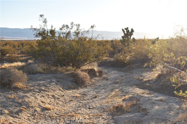 Detail Gallery Image 14 of 16 For 19300 Astoria Ave, Rosamond,  CA 93560 - – Beds | – Baths